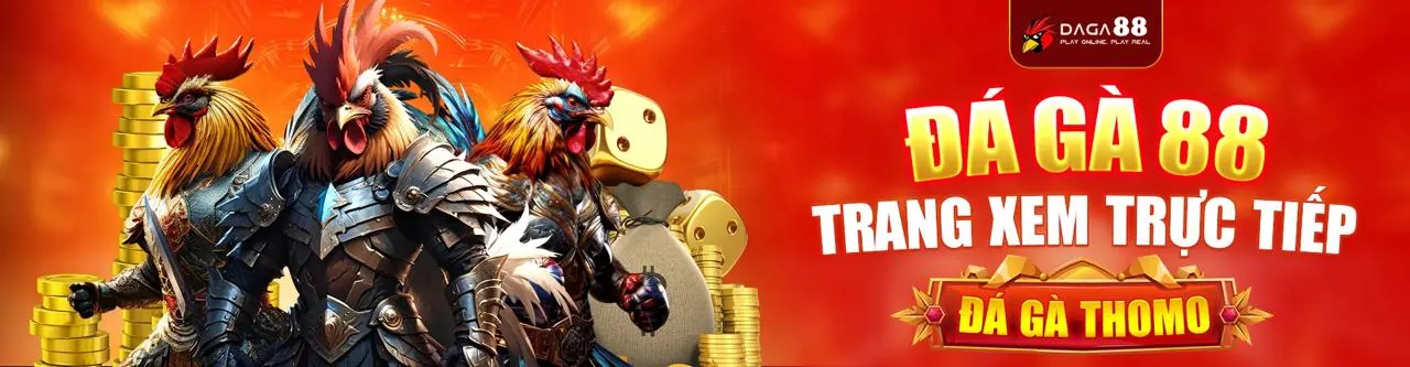 Hướng dẫn chọn nền tảng cá cược trực tuyến tốt nhất 8tr88